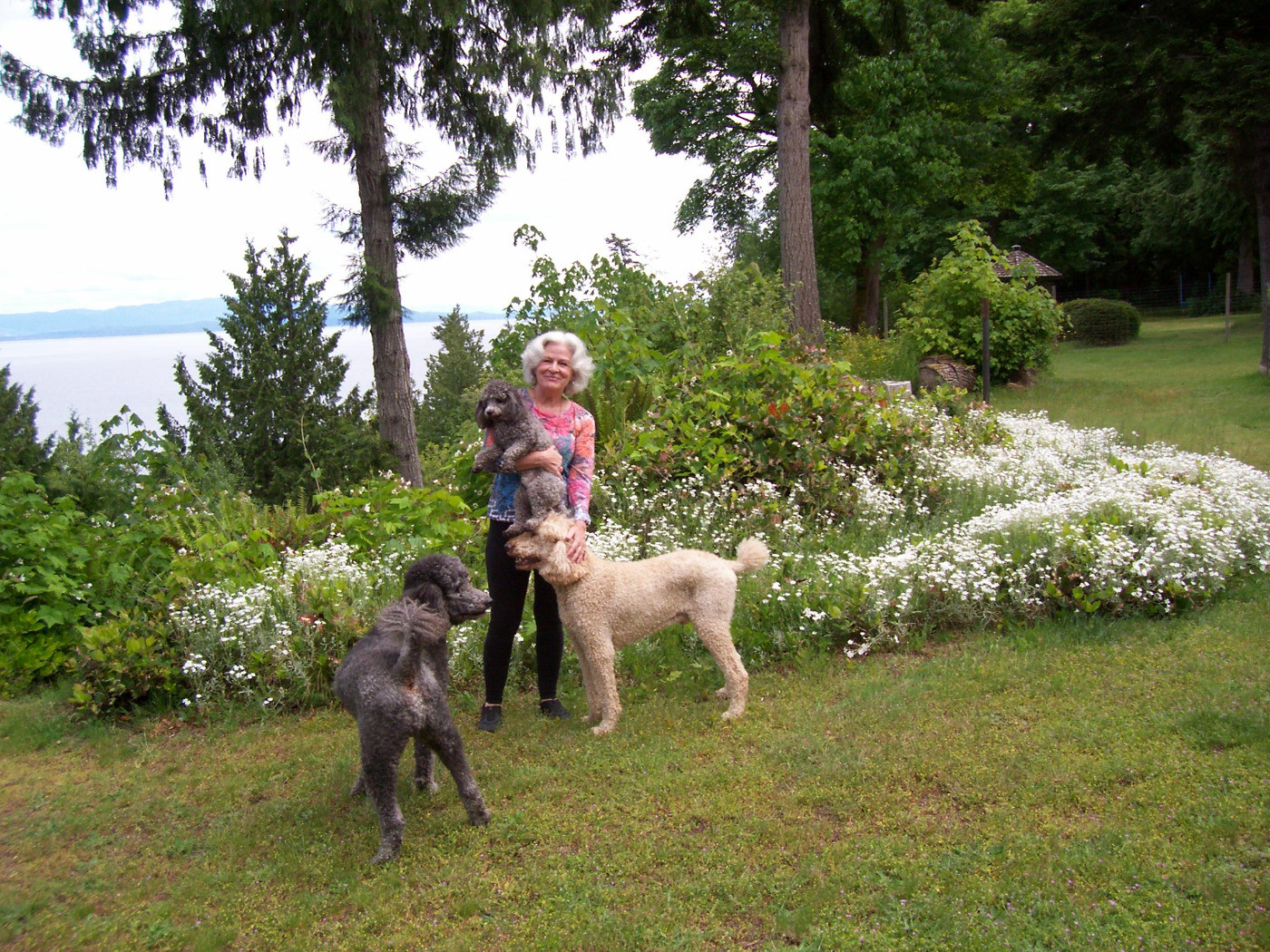 Luce and Boys